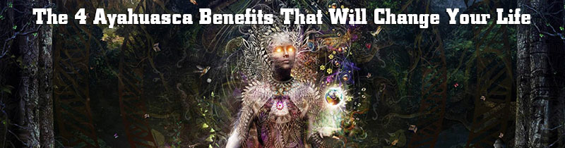 The 4 Ayahuasca Benefits That Will Change Your Life