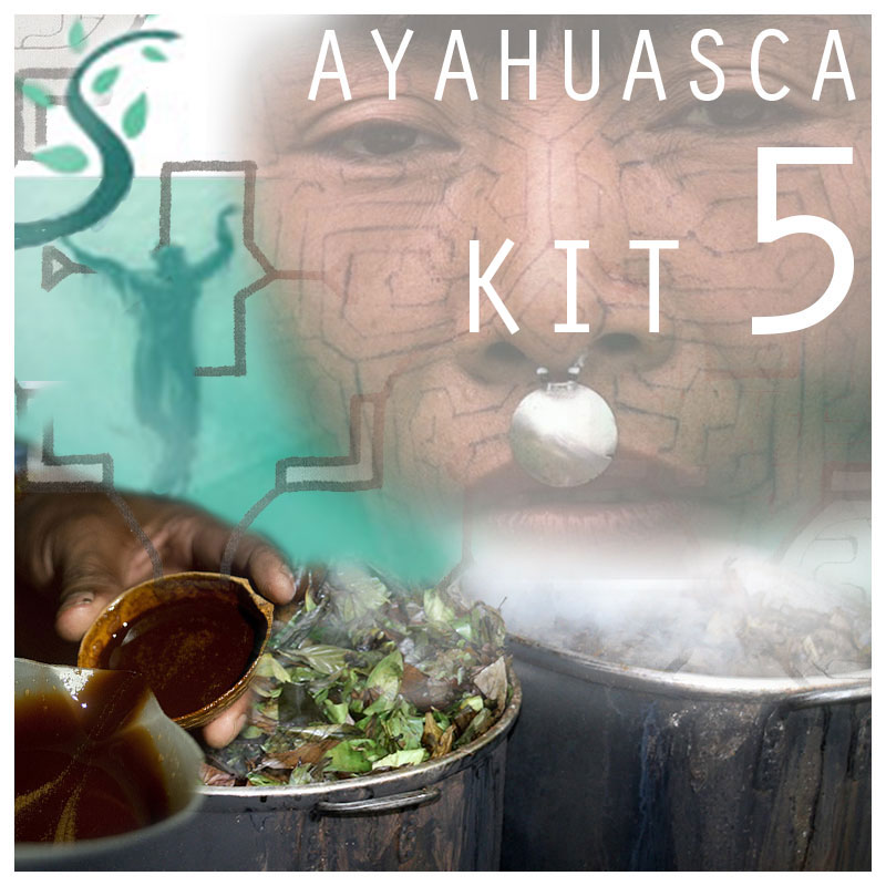 Ayahuasca Kit 5