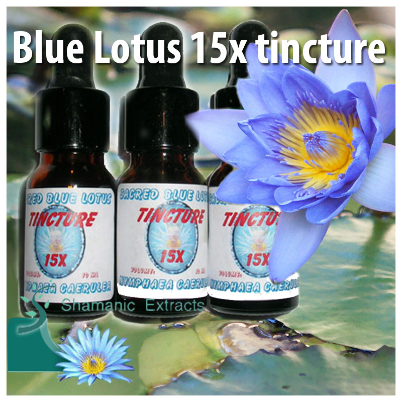 BLUE LOTUS 15X TINCTURE