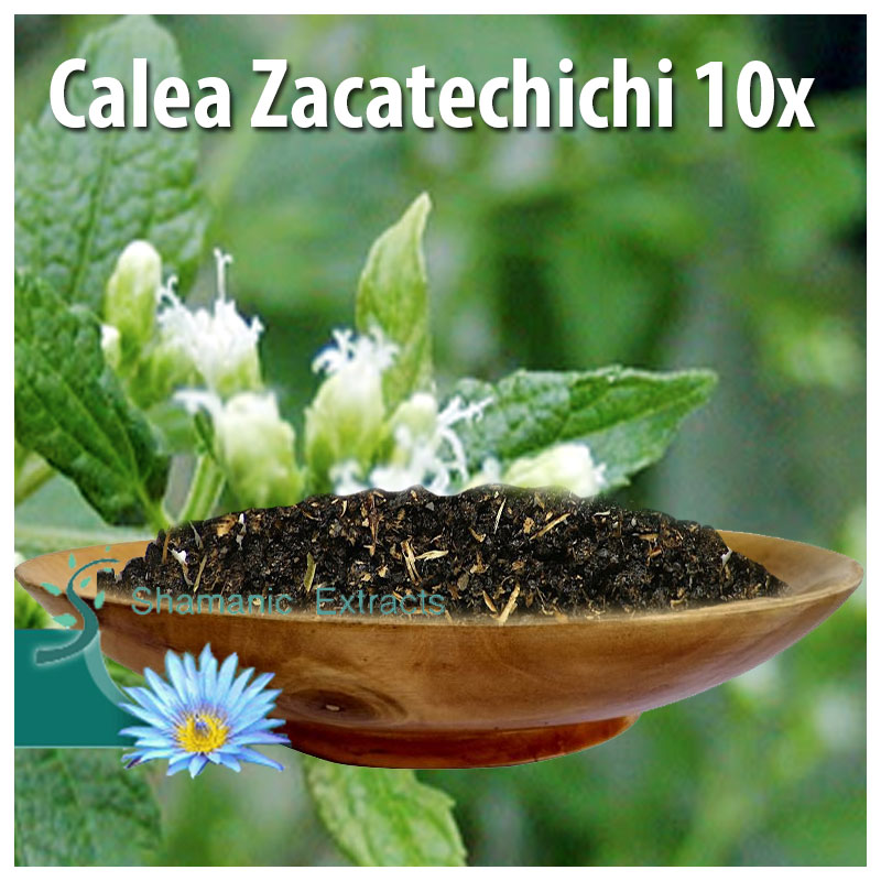 Calea Zacatechichi 10x