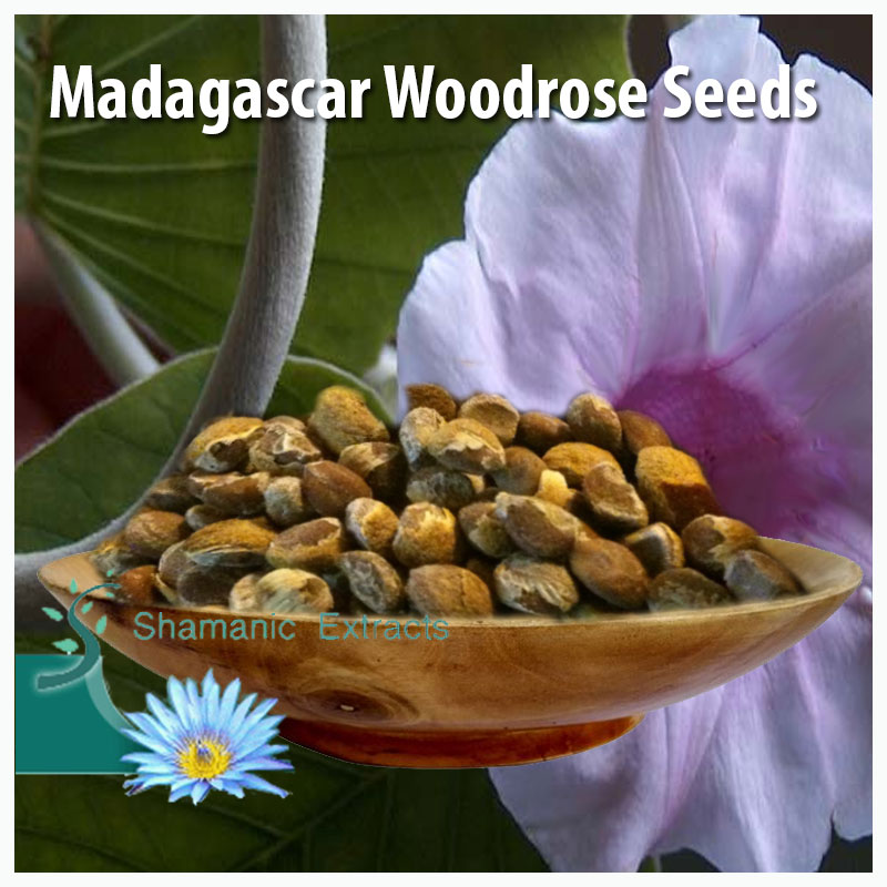 MADAGASCAR WOODROSE SEEDS