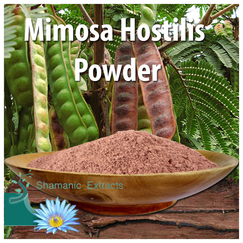 Mimosa hostilis powder