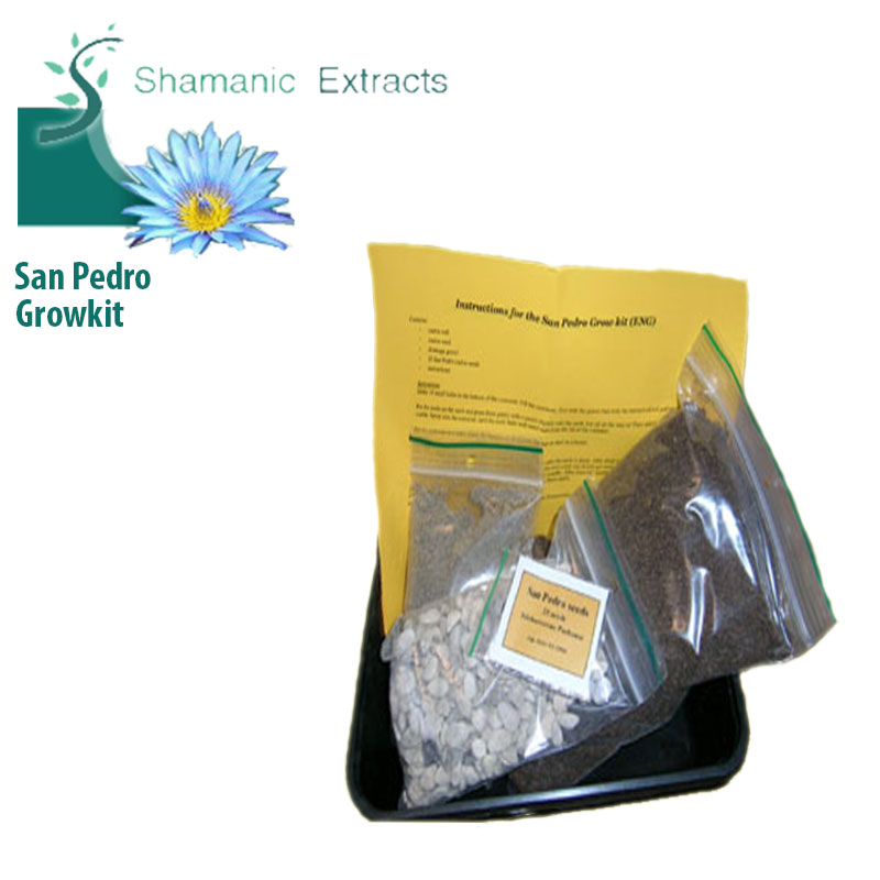 San Pedro (Echinopsis pachanoi) grow kit