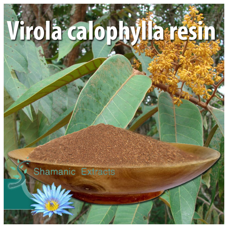 Virola calophylla resin