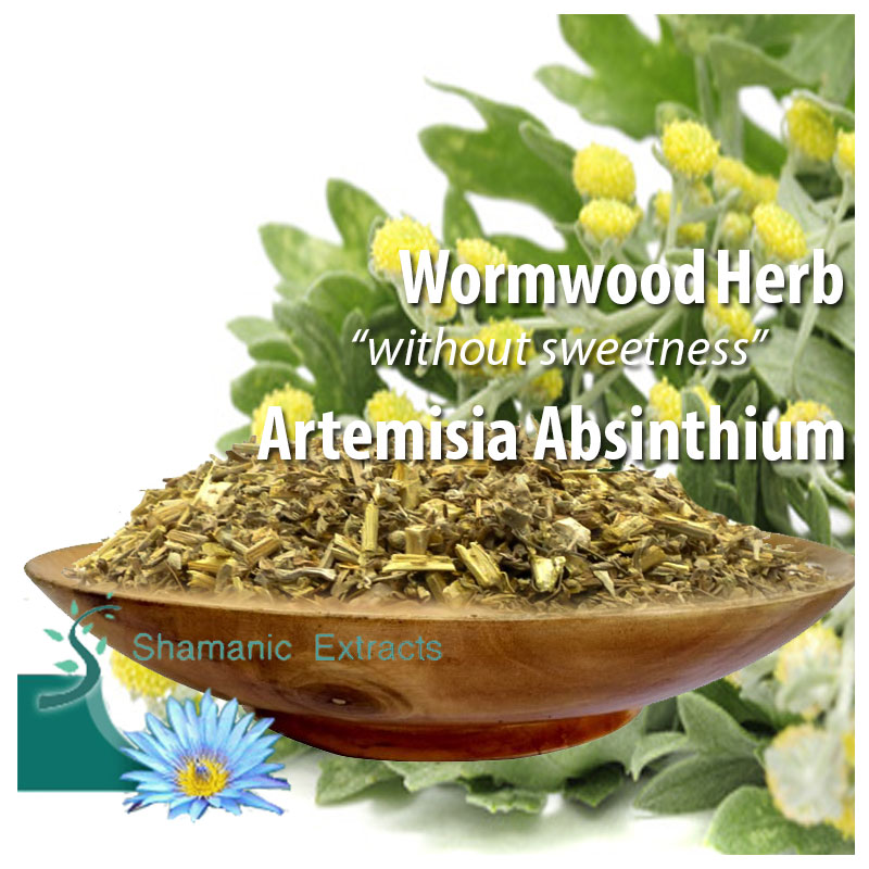 Wormwood (Artemisia absinthum)