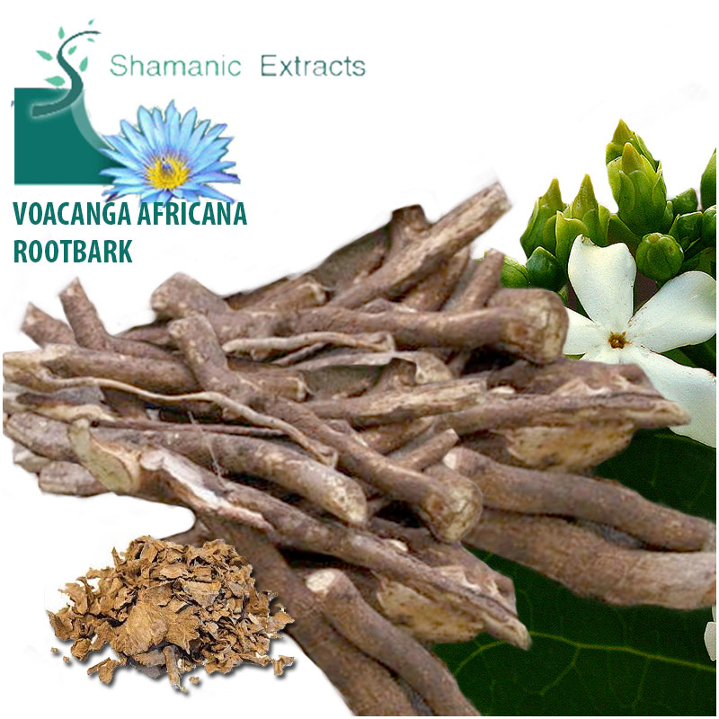 voacanga africana root bark