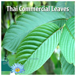 THAI COMMERCIAL KRATOM LEAVES