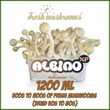 Albino A growkit 1200ml