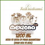 Mexican 1200ml Grow Kit Freshmushrooms