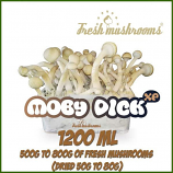 Moby Dick 1200ml Grow Kit Freshmushrooms
