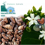 Voacanga Africana seeds