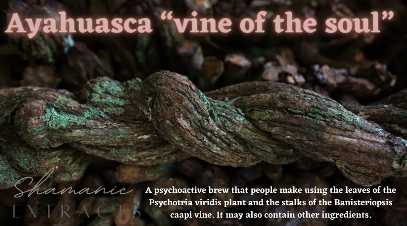 ayahuasca kits by shamanic extracts