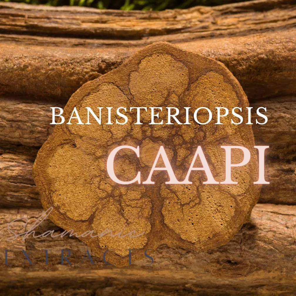 Banisteriopsis caapi